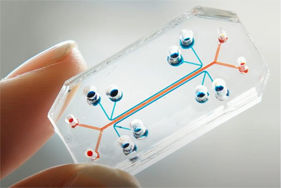 Micro CNC machined medical parts