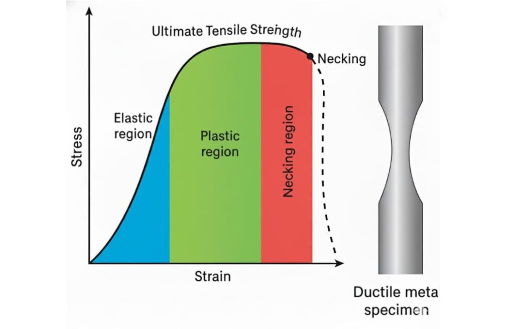 Necking & Post Neck Behavior