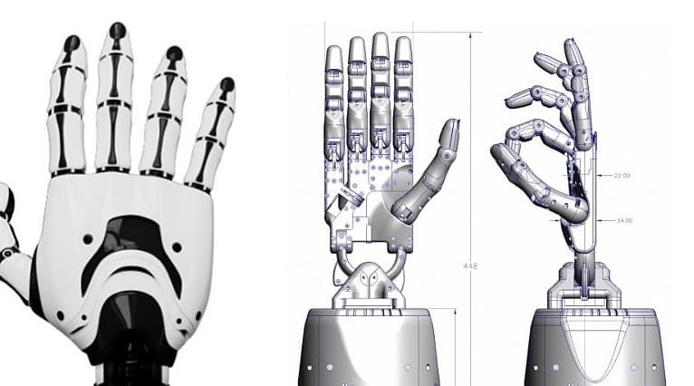 Skeletal and Structural Components